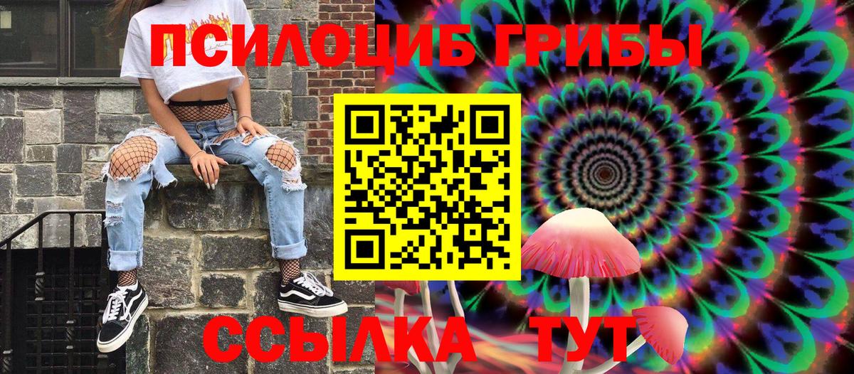 Амурск  Псилоцибиновые грибы GOLDEN TEACHER  Вход с VPN 